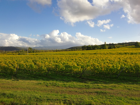 c0206352_6473058.jpg