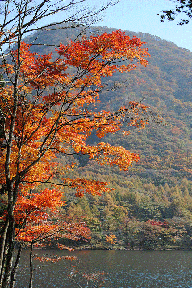 a0001354_2114447.gif