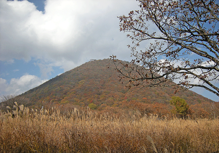 a0001354_2182163.gif