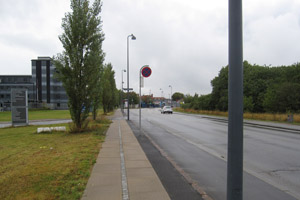 a0187356_1581669.jpg
