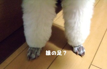 e0141159_2234532.jpg