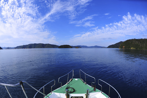 b0062363_20592076.jpg