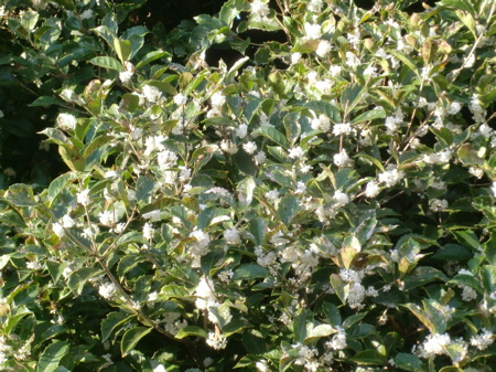 d0105063_14245160.jpg