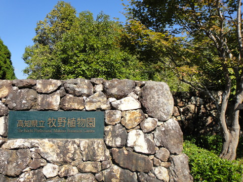 f0195963_13191337.jpg