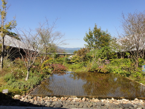 f0195963_1320913.jpg