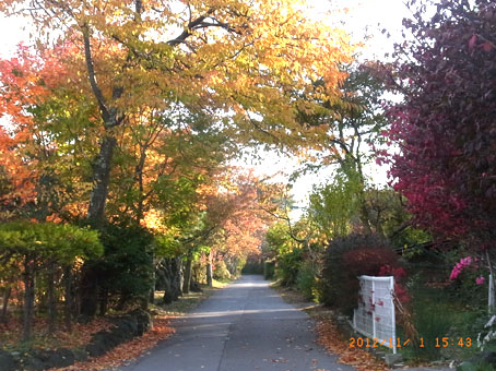 b0075364_21584596.jpg