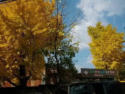 b0045267_22294759.jpg