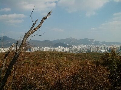 b0045267_22323215.jpg