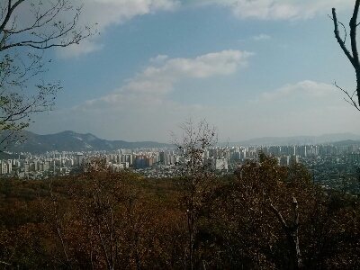 b0045267_2233255.jpg