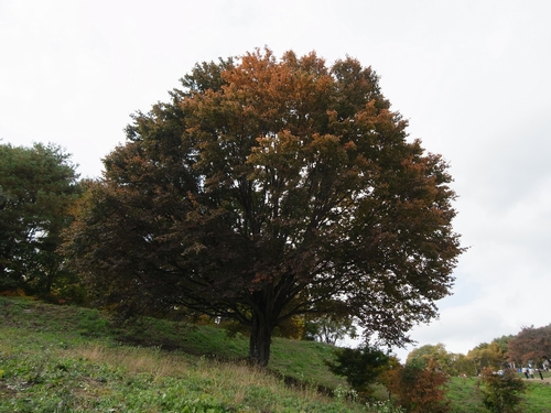 c0166668_1059674.jpg