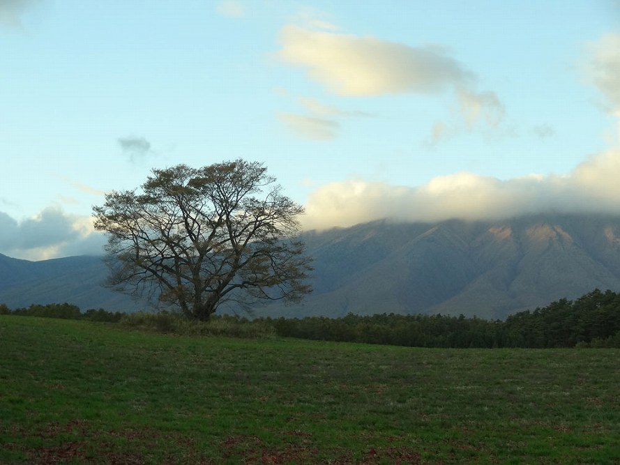 c0007169_16144915.jpg