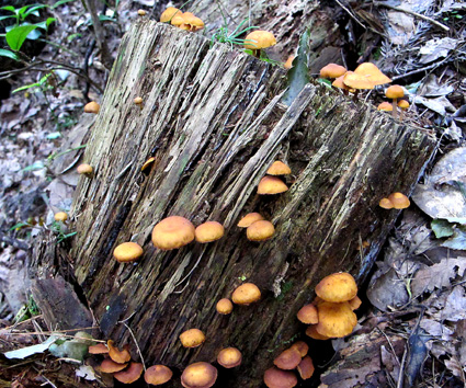 f0195172_3182028.jpg