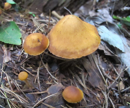 f0195172_3274824.jpg