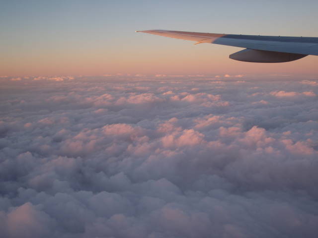a0113874_22334421.jpg