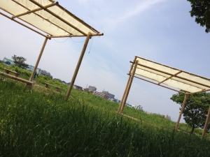 c0091679_12535981.jpg