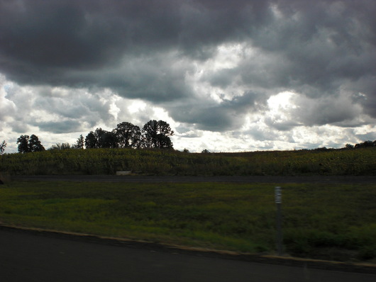 f0112080_172242.jpg
