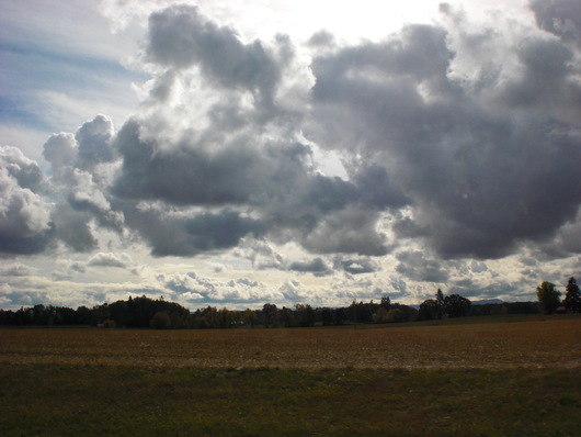 f0112080_1723379.jpg