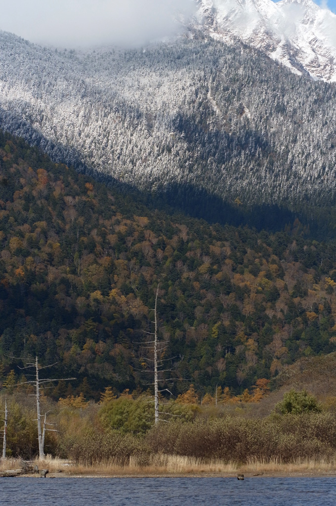 e0082981_22563898.jpg