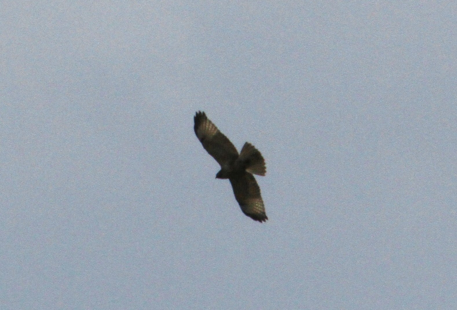 e0197884_19114037.jpg