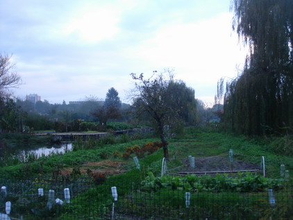 a0247585_5484517.jpg