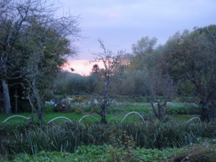 a0247585_550731.jpg