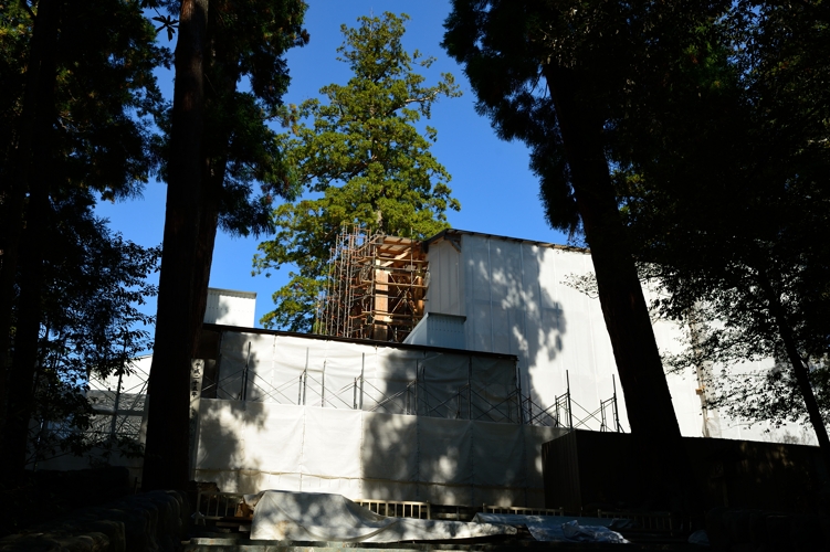 f0103688_23491179.jpg