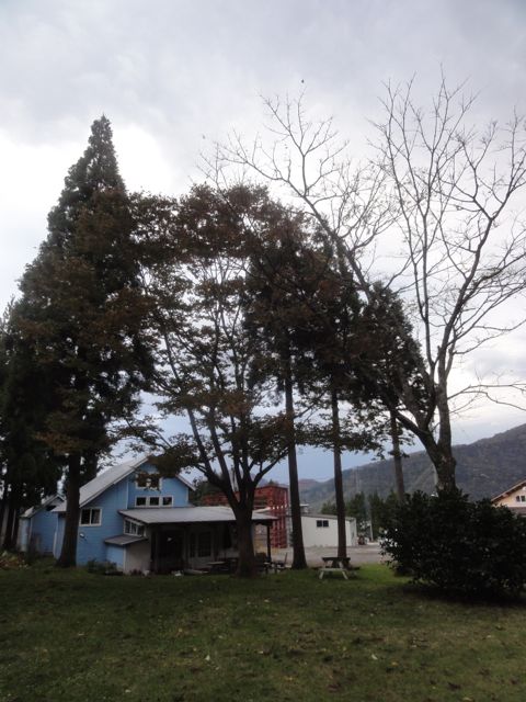 a0061599_7331338.jpg