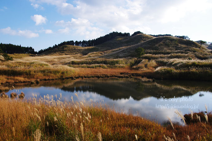 e0008800_0503771.jpg
