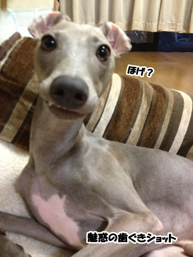 e0290901_11161353.png