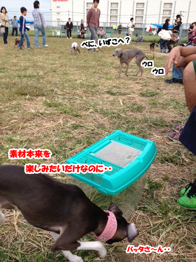 e0290901_11351259.png