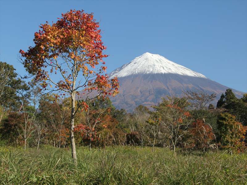 a0188405_21774.jpg