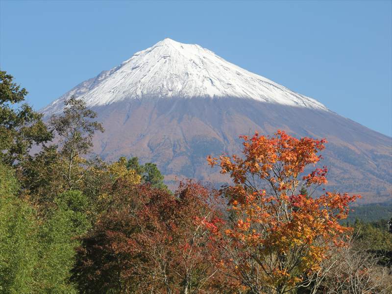 a0188405_219647.jpg