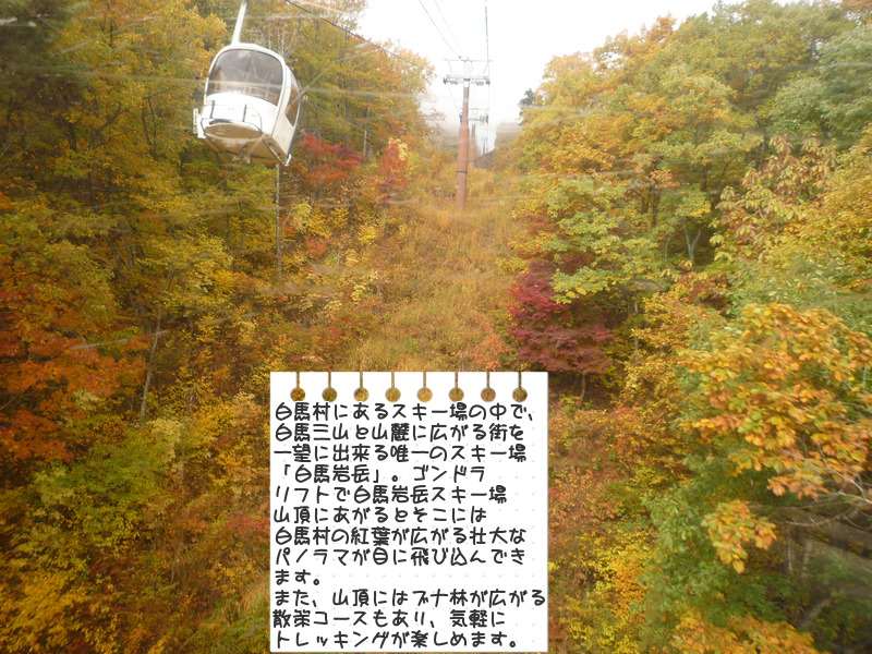 e0246708_23385577.jpg