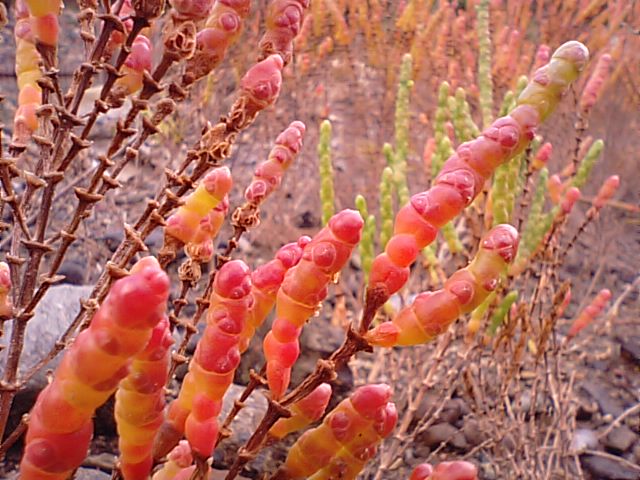 f0231709_17151881.jpg