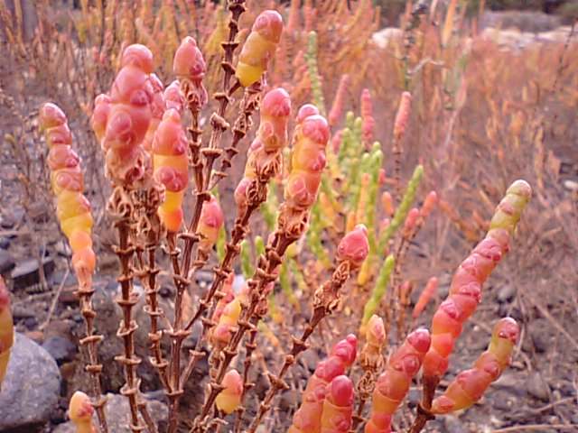 f0231709_17161277.jpg
