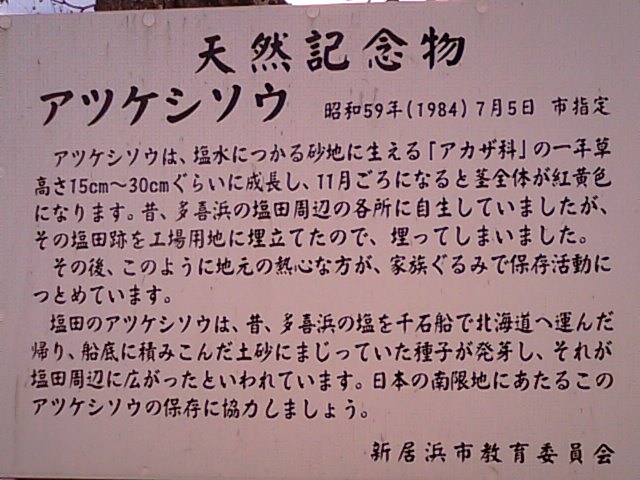 f0231709_1717075.jpg