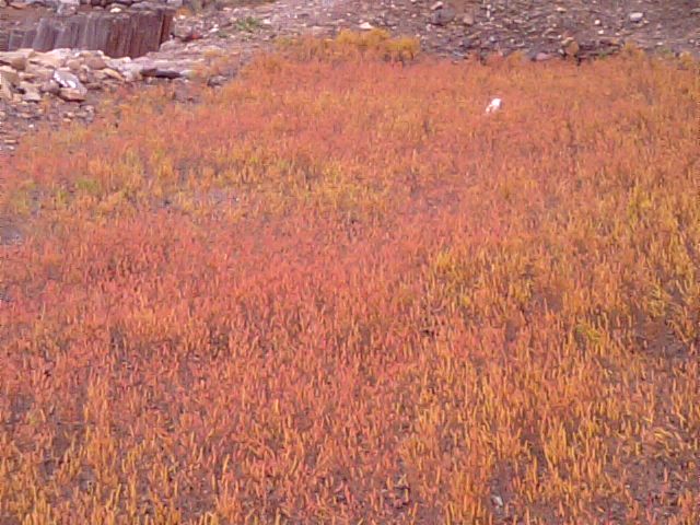 f0231709_17191497.jpg