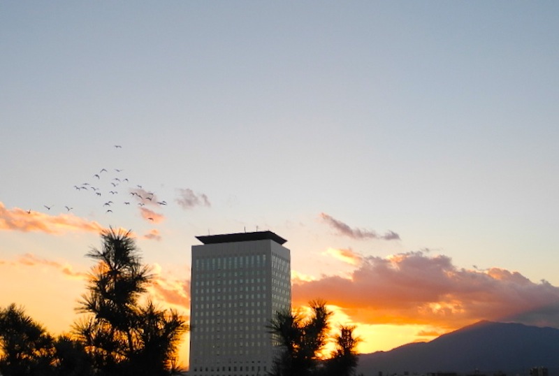 c0248013_2110362.jpg