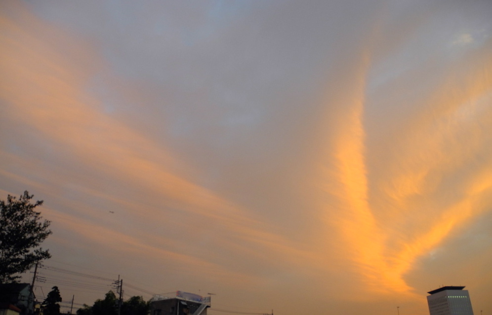 c0248013_2118455.jpg