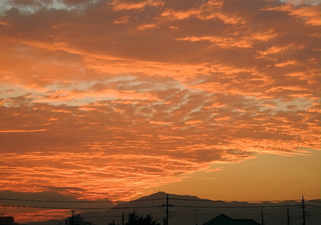 c0248013_21294654.jpg