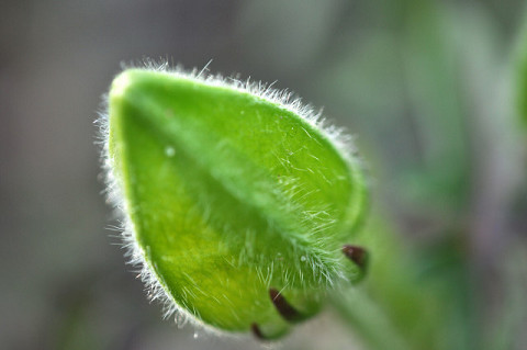 f0046614_1433372.jpg