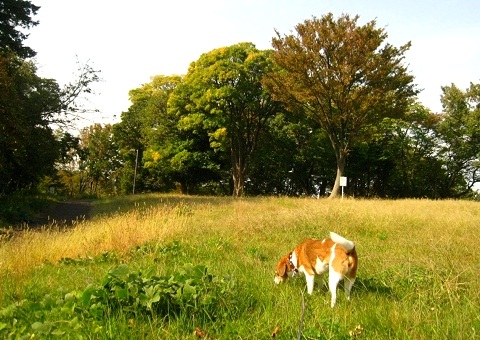 c0084117_20114993.jpg
