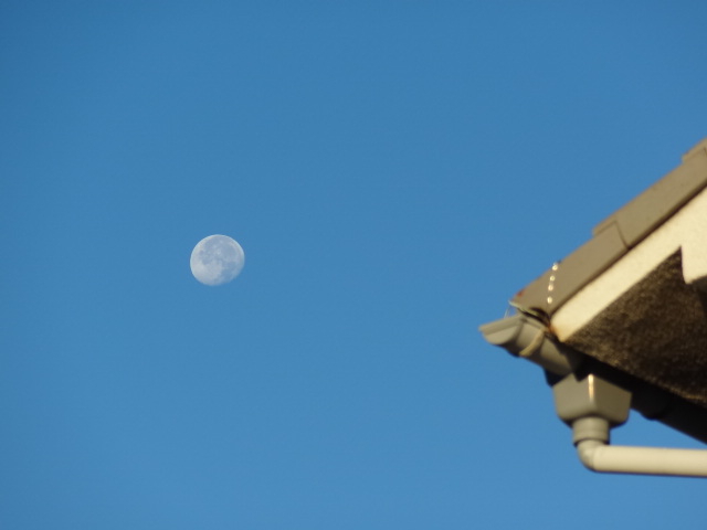e0016828_104741.jpg