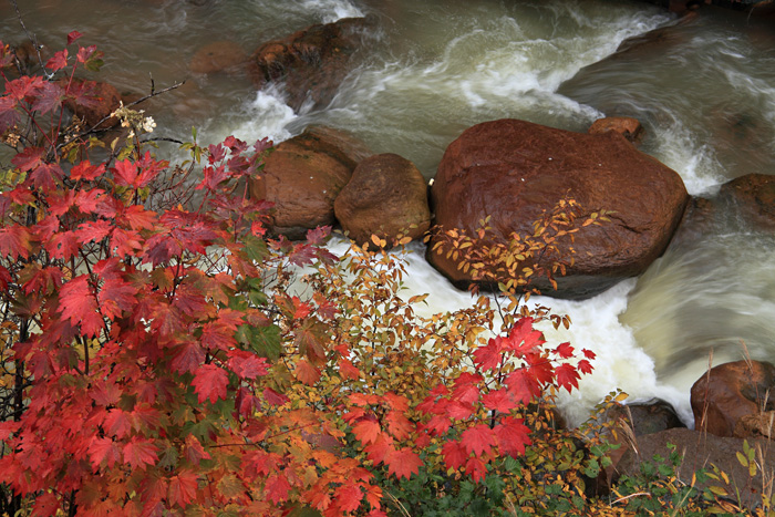 e0025930_20123314.jpg