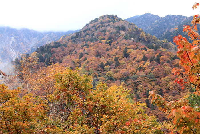 e0025930_20192494.jpg