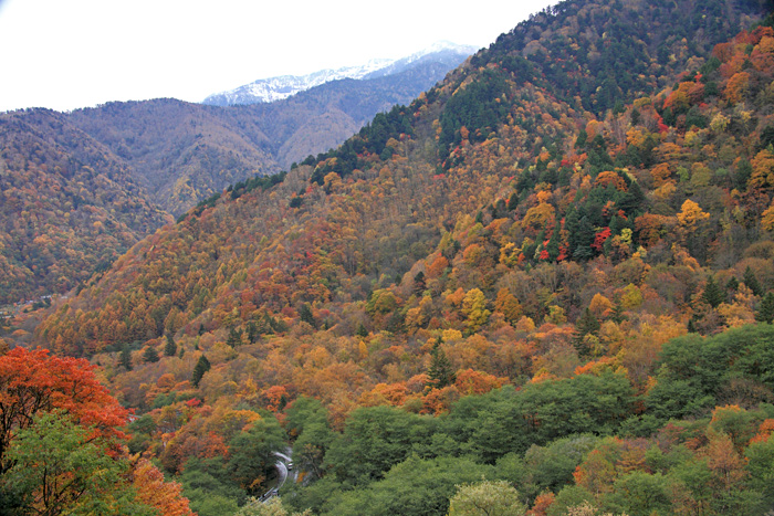 e0025930_20282026.jpg