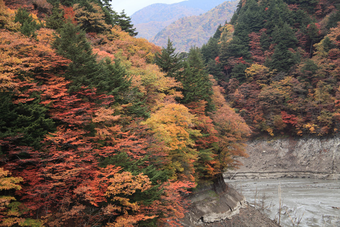 e0025930_2055398.jpg