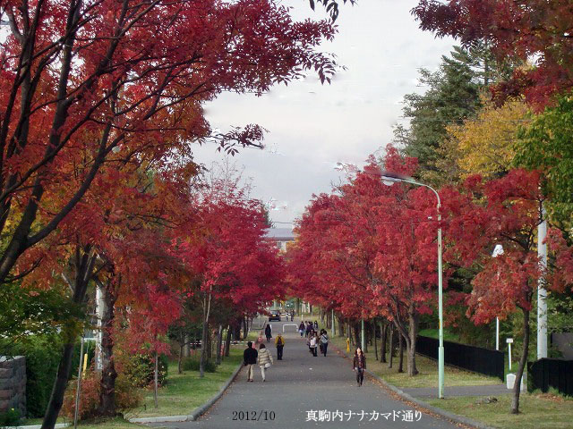 c0123031_594746.jpg