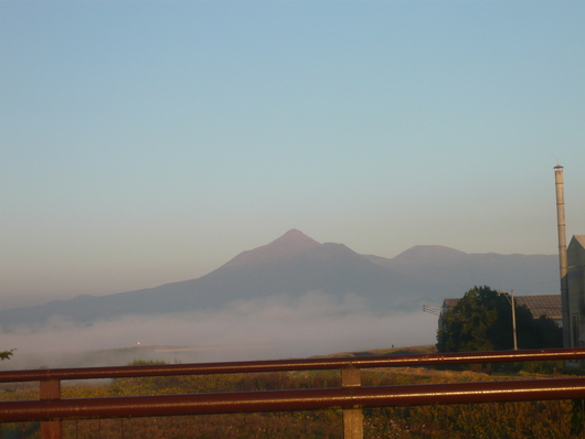 a0206332_85037100.jpg