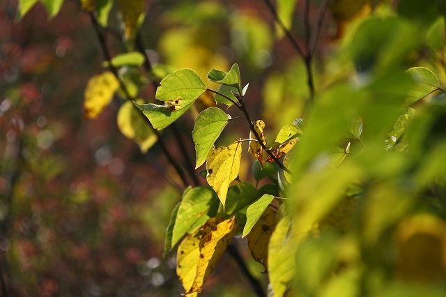 a0242438_2031927.jpg